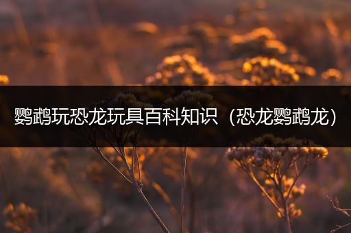 鹦鹉玩恐龙玩具百科知识（恐龙鹦鹉龙）