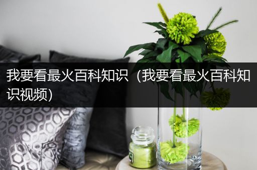 我要看最火百科知识（我要看最火百科知识视频）