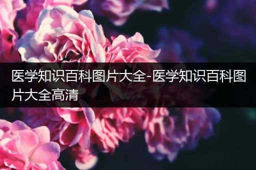 医学知识百科图片大全-医学知识百科图片大全高清
