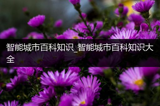 智能城市百科知识_智能城市百科知识大全