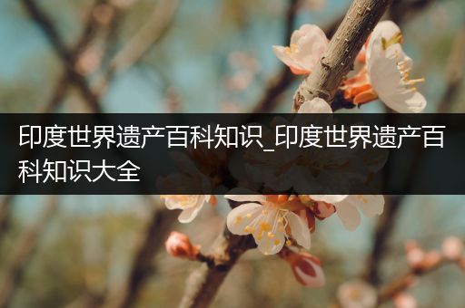 印度世界遗产百科知识_印度世界遗产百科知识大全