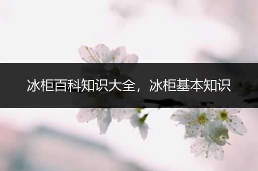 冰柜百科知识大全，冰柜基本知识