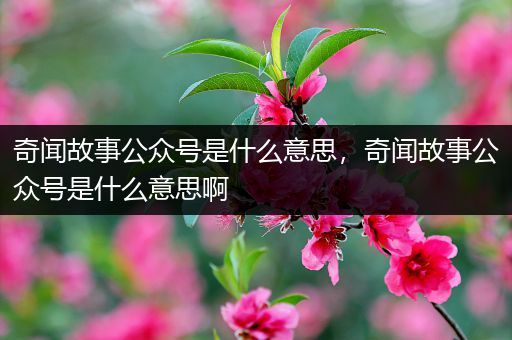 奇闻故事公众号是什么意思，奇闻故事公众号是什么意思啊