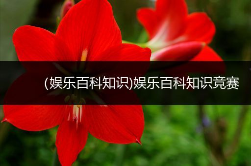 （娱乐百科知识)娱乐百科知识竞赛