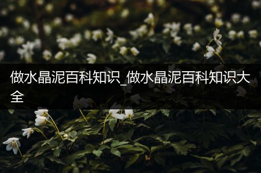 做水晶泥百科知识_做水晶泥百科知识大全