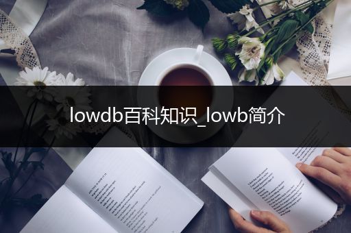 lowdb百科知识_lowb简介