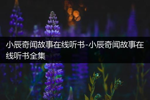 小辰奇闻故事在线听书-小辰奇闻故事在线听书全集