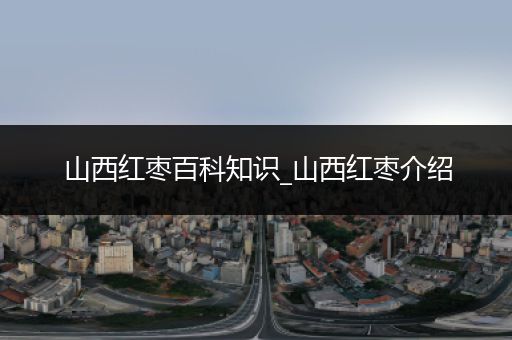 山西红枣百科知识_山西红枣介绍