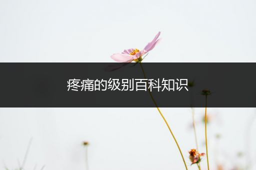 疼痛的级别百科知识