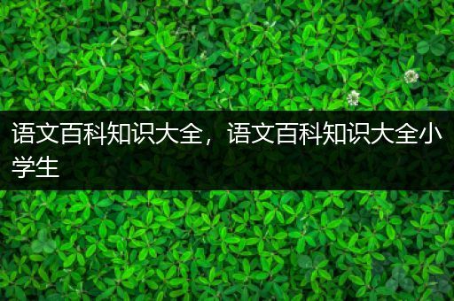 语文百科知识大全，语文百科知识大全小学生