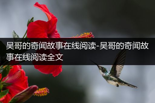 吴哥的奇闻故事在线阅读-吴哥的奇闻故事在线阅读全文