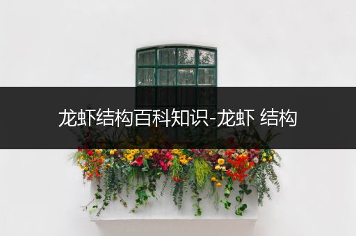 龙虾结构百科知识-龙虾 结构