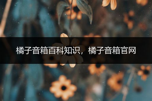 橘子音箱百科知识，橘子音箱官网