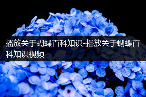播放关于蝴蝶百科知识-播放关于蝴蝶百科知识视频