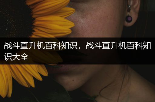 战斗直升机百科知识，战斗直升机百科知识大全