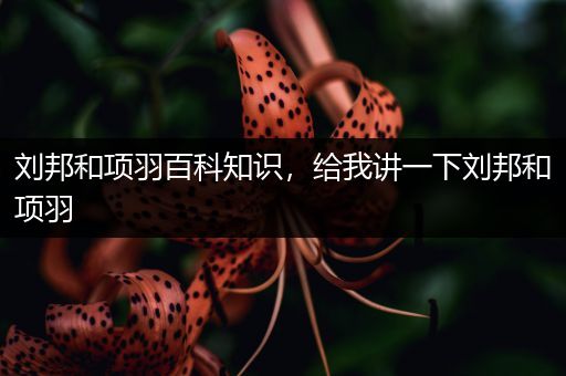 刘邦和项羽百科知识，给我讲一下刘邦和项羽