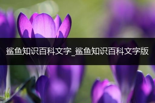鲨鱼知识百科文字_鲨鱼知识百科文字版