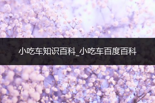 小吃车知识百科_小吃车百度百科