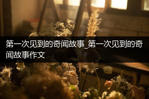 第一次见到的奇闻故事_第一次见到的奇闻故事作文