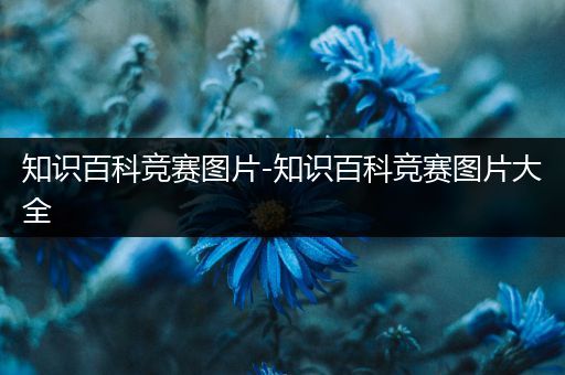 知识百科竞赛图片-知识百科竞赛图片大全