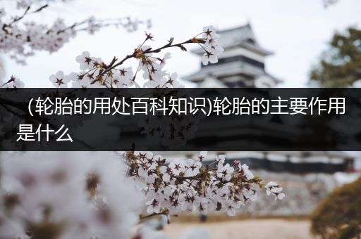（轮胎的用处百科知识)轮胎的主要作用是什么