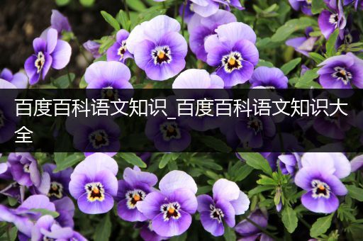 百度百科语文知识_百度百科语文知识大全
