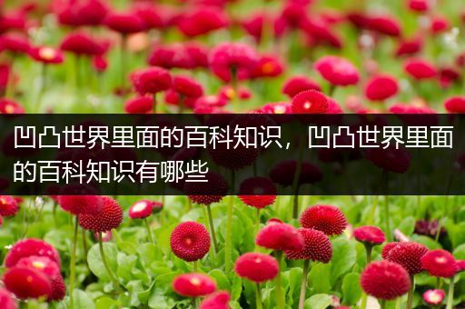 凹凸世界里面的百科知识，凹凸世界里面的百科知识有哪些