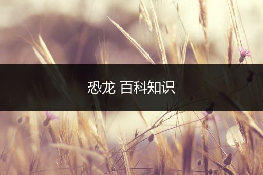 恐龙 百科知识