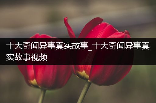 十大奇闻异事真实故事_十大奇闻异事真实故事视频