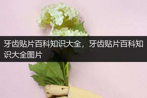 牙齿贴片百科知识大全，牙齿贴片百科知识大全图片