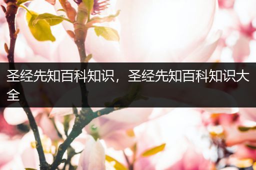 圣经先知百科知识，圣经先知百科知识大全