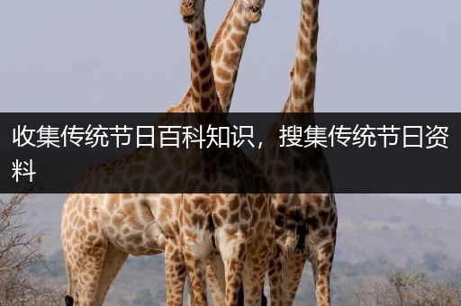 收集传统节日百科知识，搜集传统节曰资料