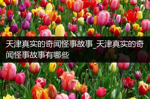 天津真实的奇闻怪事故事_天津真实的奇闻怪事故事有哪些