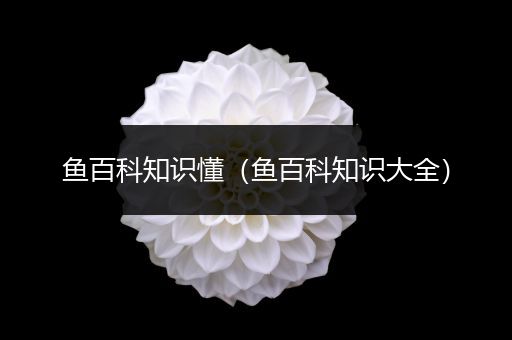鱼百科知识懂（鱼百科知识大全）