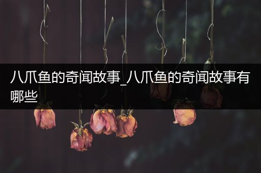 八爪鱼的奇闻故事_八爪鱼的奇闻故事有哪些