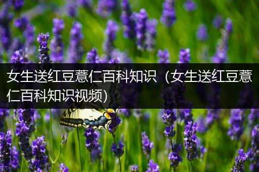 女生送红豆薏仁百科知识（女生送红豆薏仁百科知识视频）