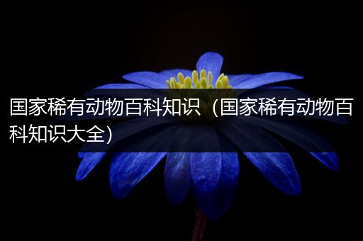 国家稀有动物百科知识（国家稀有动物百科知识大全）