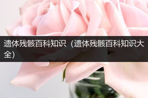 遗体残骸百科知识（遗体残骸百科知识大全）