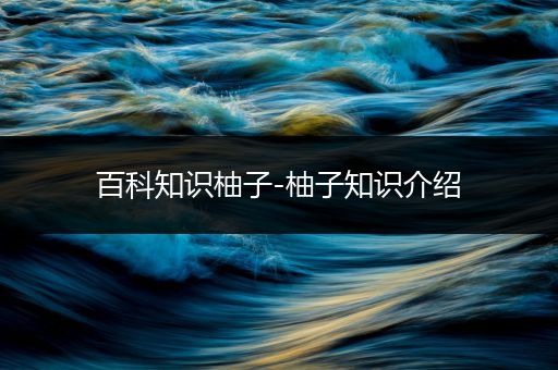 百科知识柚子-柚子知识介绍
