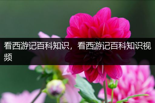 看西游记百科知识，看西游记百科知识视频