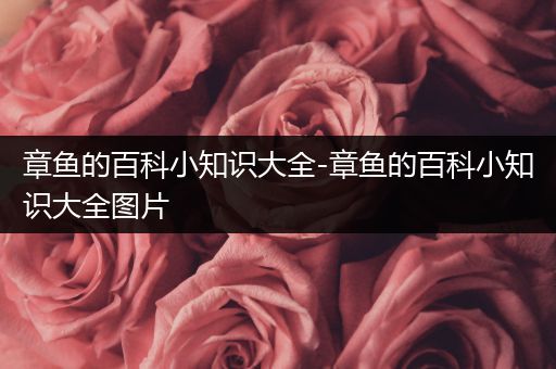 章鱼的百科小知识大全-章鱼的百科小知识大全图片