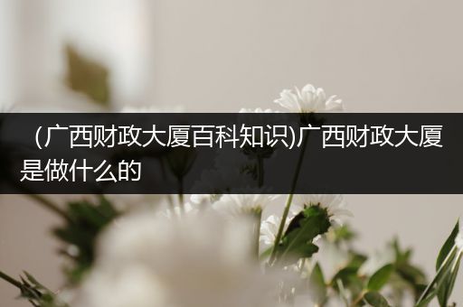 （广西财政大厦百科知识)广西财政大厦是做什么的