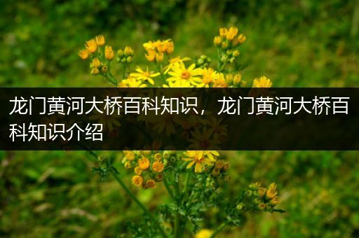 龙门黄河大桥百科知识，龙门黄河大桥百科知识介绍
