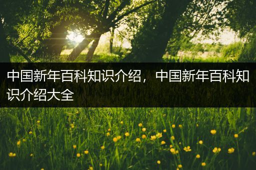 中国新年百科知识介绍，中国新年百科知识介绍大全