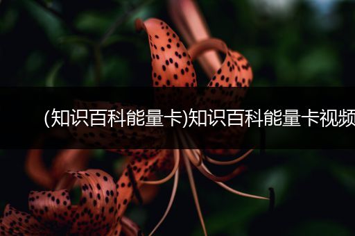 （知识百科能量卡)知识百科能量卡视频