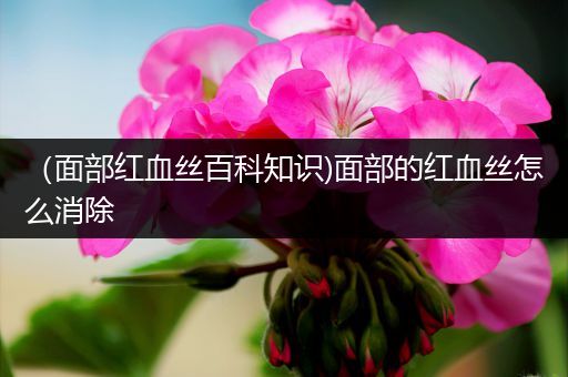 （面部红血丝百科知识)面部的红血丝怎么消除