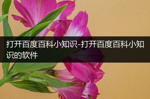 打开百度百科小知识-打开百度百科小知识的软件