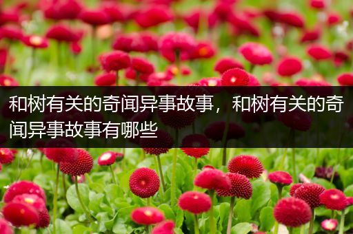 和树有关的奇闻异事故事，和树有关的奇闻异事故事有哪些