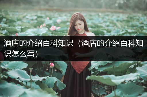 酒店的介绍百科知识（酒店的介绍百科知识怎么写）