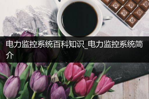 电力监控系统百科知识_电力监控系统简介